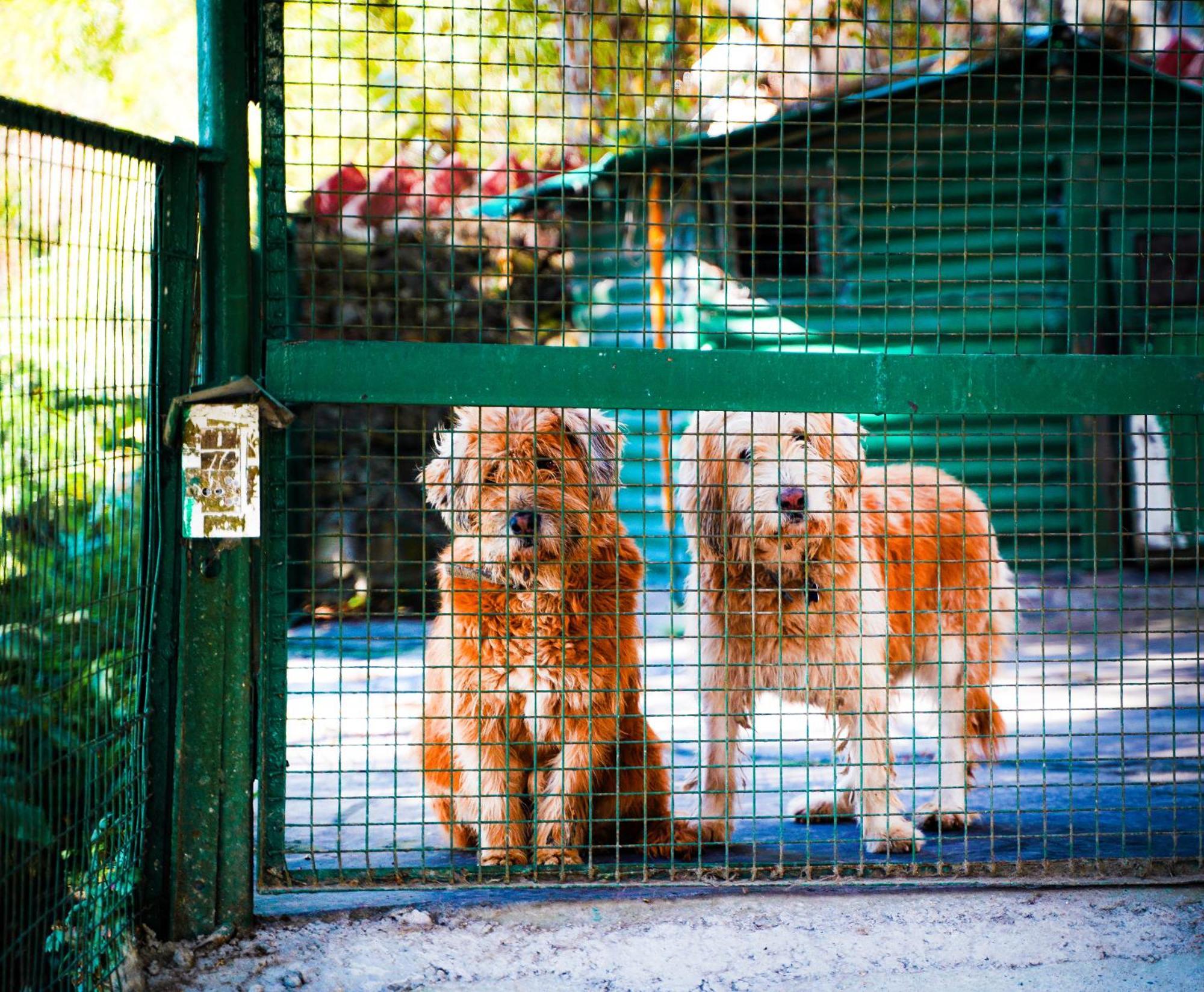 La Villa Bethany Mussoorie Eksteriør billede